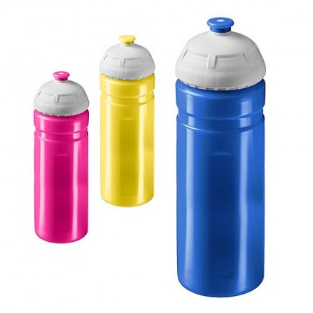 Trinkflasche Champion 700 ml
