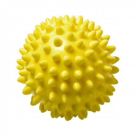 Wellness Ball Igel