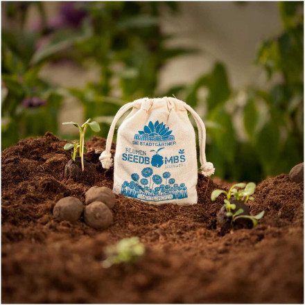 5 Samenbomben Gänseblümchen | persönlicher Werbedruck + individuelles Rückenetikett