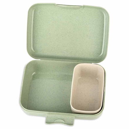 Koziol Candy L Harry Lunchbox mit Trennschale | Organic Bio-Circular