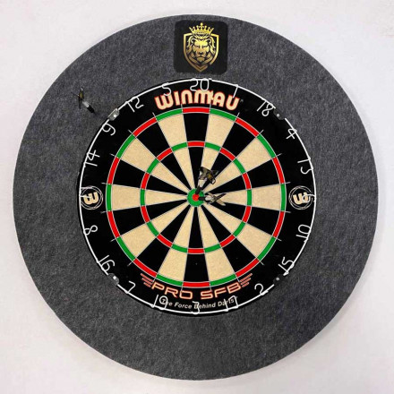 Dartschallschutz-Set | inkl. Catchring Surround zur Befestigung Original-Dartboards