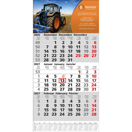 3-Monats-Wandkalender Top 12 | 3-sprachig | grau