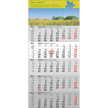 5-Monats-Wandkalender Standard 5 | 3-sprachig | grau