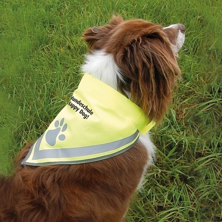 Hundehalstuch Paw | Größen S - L
