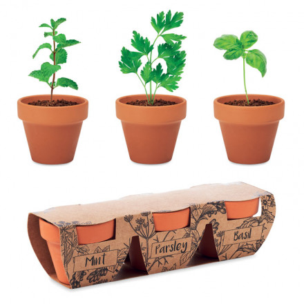 Flowerpot Set Kräutersamen