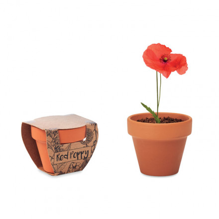 Terrakottatopf Red Poppy