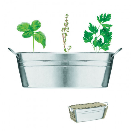 Zink-Pflanzkübel mit Kräutersamen Mix Seeds