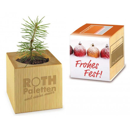 Pflanz-Holz Xmas mit Fichtensamen