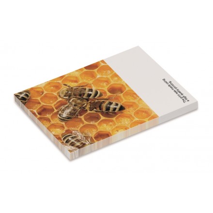 Haftnotizblock Midi 25 Blatt