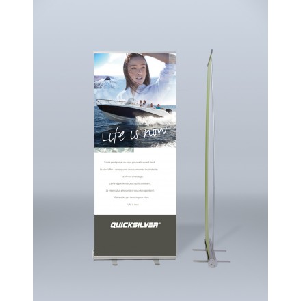 Roll-Up Chamäleon mit bedrucktem PVC-Banner