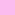 babyrosa