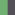 lime green/carbon