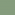 nature leaf-green