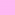 rosa shadow
