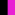 schwarz/neon-fuchsia