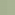 transparent eucalyptus green
