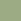 eco green