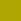 kiwi 08
