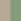 nature desert sand/nature leaf green
