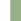 nature leaf green/crystal clear