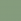 nature leaf-green