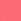 neon cerise