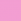 rosa 06