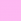 rosa shadow