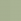 transparent eucalyptus green